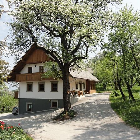 Farm Stay Dolinar Krainer Bohinjska Bela Extérieur photo