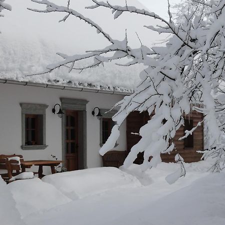 Farm Stay Dolinar Krainer Bohinjska Bela Extérieur photo